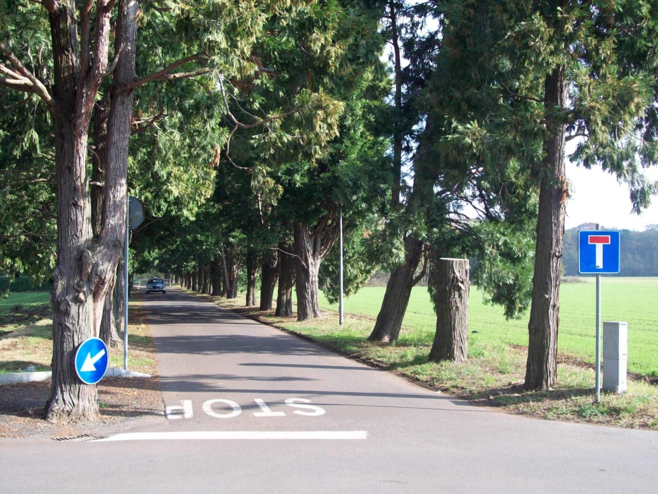 Cambia Rescaldina chiede telecamere nei cimiteri dopo i furti