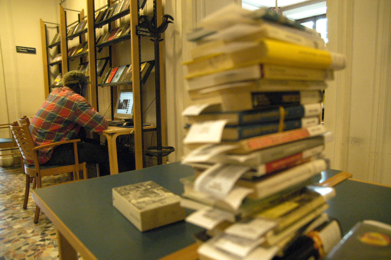 Opportunità di tirocini in biblioteca per Neet