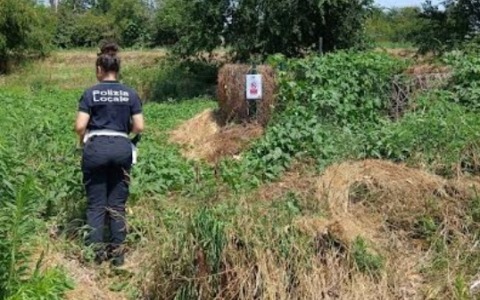Divieto di balneazione nell’Olona: il sindaco avverte i giovani