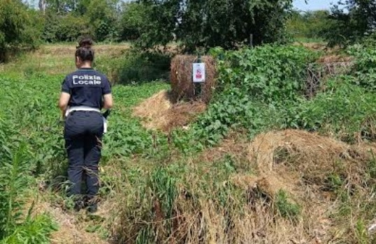 Divieto di balneazione nell’Olona: il sindaco avverte i giovani