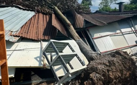 Un albero cade e danneggia la cucina: avviata la raccolta fondi per la riapertura
