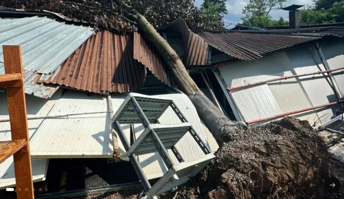 Un albero cade e danneggia la cucina: avviata la raccolta fondi per la riapertura