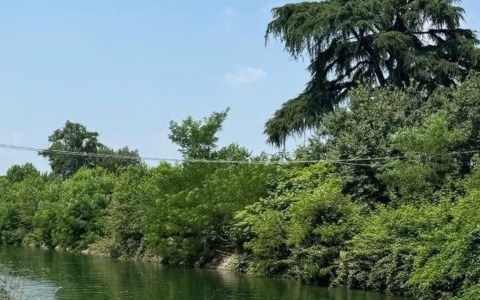 Caduta nel Villoresi mentre tenta di soccorrere un animale