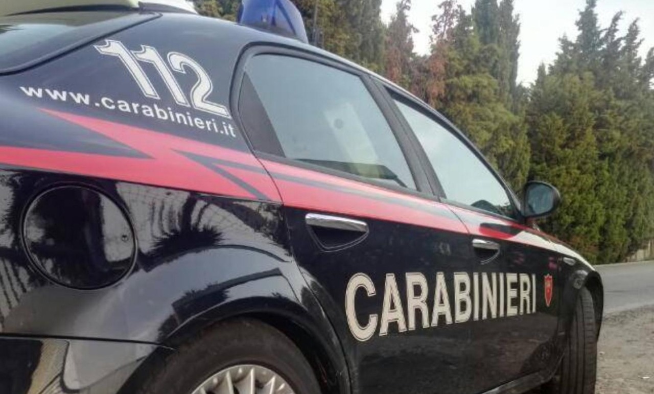 Cocker imbottito di droga aggredisce un Carabiniere a Nerviano