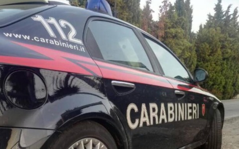 Cocker imbottito di droga aggredisce un Carabiniere a Nerviano