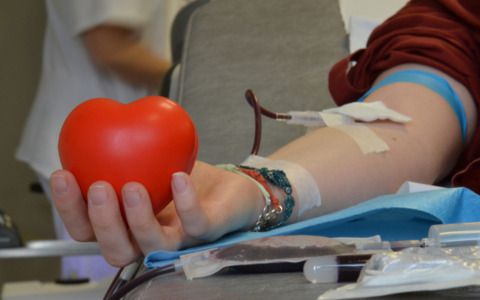 «Donare sangue e plasma prima delle ferie»