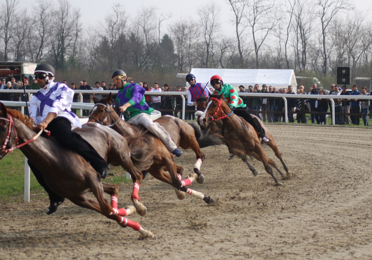 Sparita la staccionata del Palio: danni oltre 40mila euro