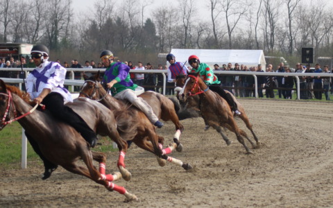 Sparita la staccionata del Palio: danni oltre 40mila euro